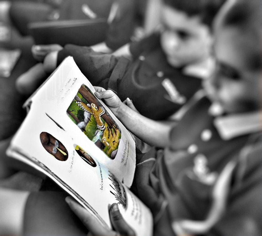 Two boys reading a picture book. 
