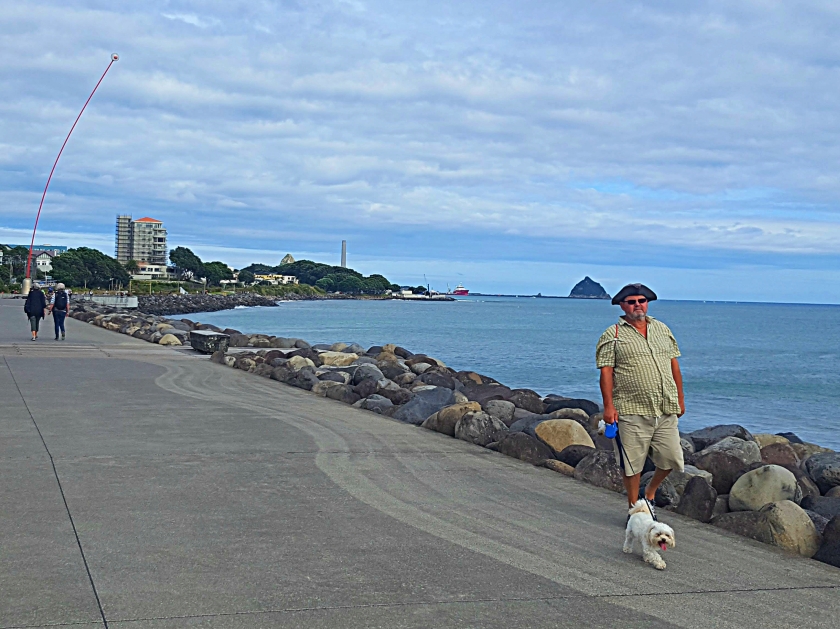 man walking dog along a promenade by the sea which is in the background. The left side of the photo is the footpath with other walkers and a tall bendy red 'wand' swaying in the wind. The sky is blue.