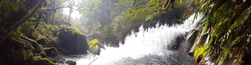 panoramic shot of waterfall which shoots out from the right handside of the photo and lands before it hits a large boulder on left. surrounded by lush green vegetation, sunlight shines through fromthe back.